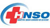 Logo HNSO